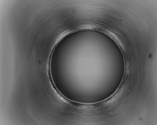 X0000098170802200805011013