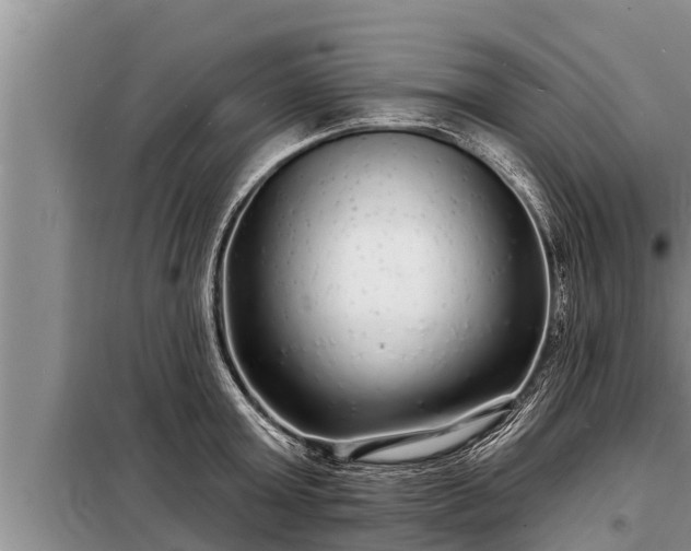 X0000098170803200805011013