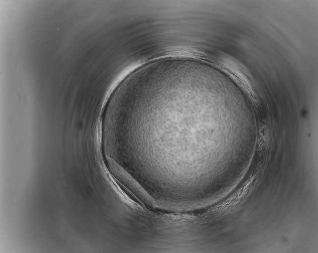 X0000098170804200805011013