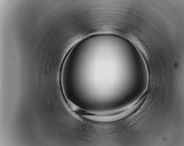 X0000098170805200805011013