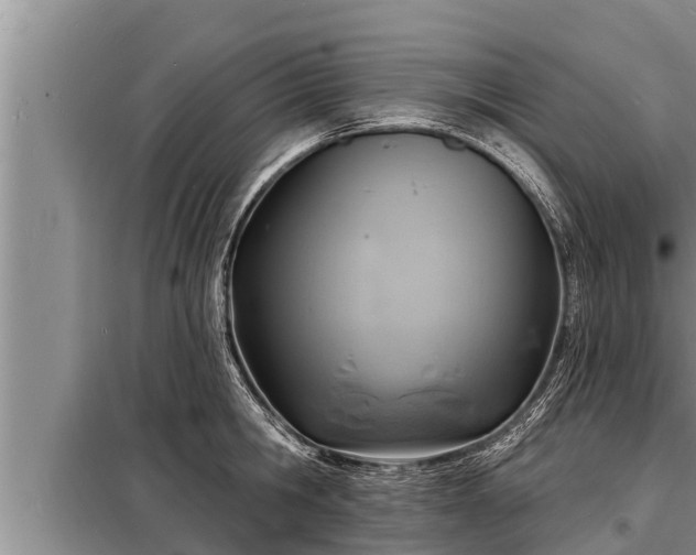 X0000098170806200805011013