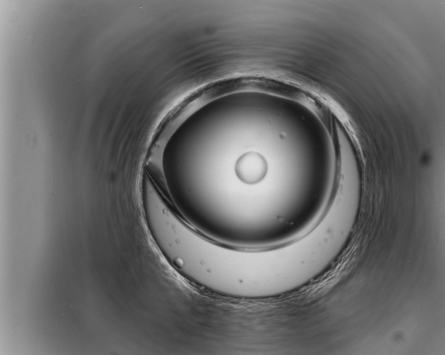 X0000098170807200805011013