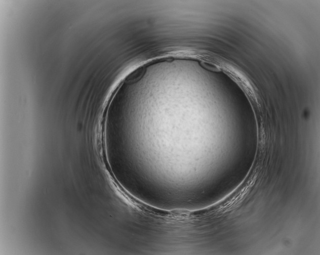 X0000098170808200805011013