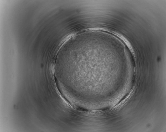 X0000098170809200805011013