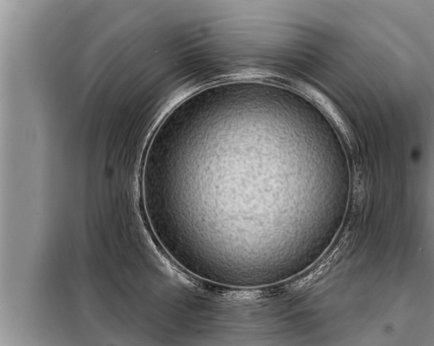 X0000098170810200805011012