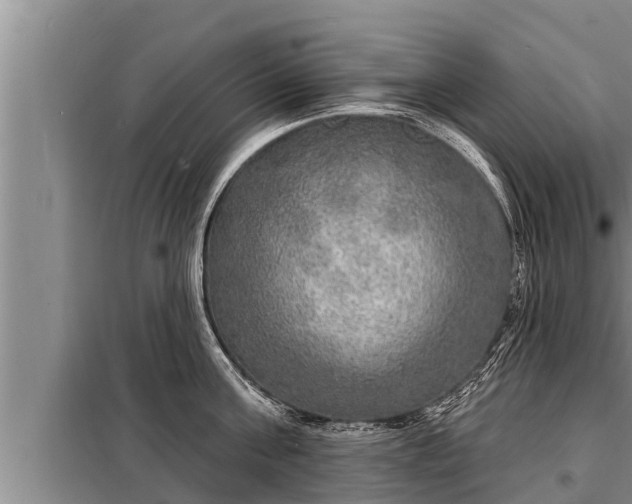 X0000098170811200805011012