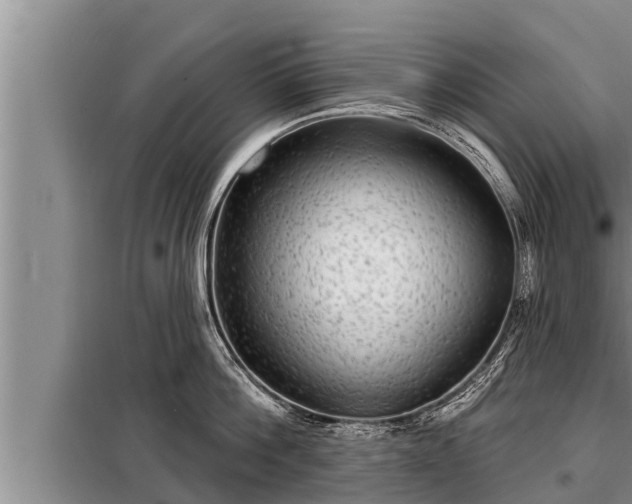 X0000098170812200805011012