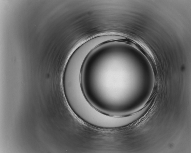 X0000098170813200805011012