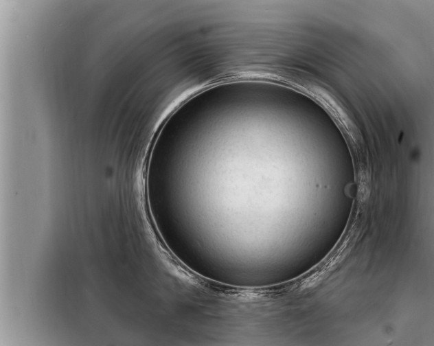 X0000098170814200805011012