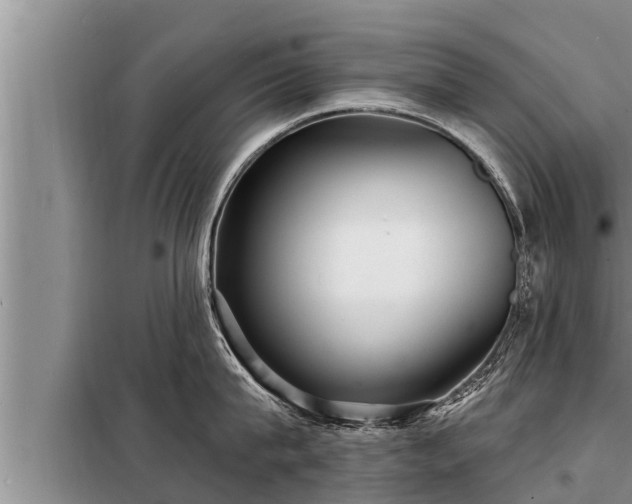 X0000098170815200805011012