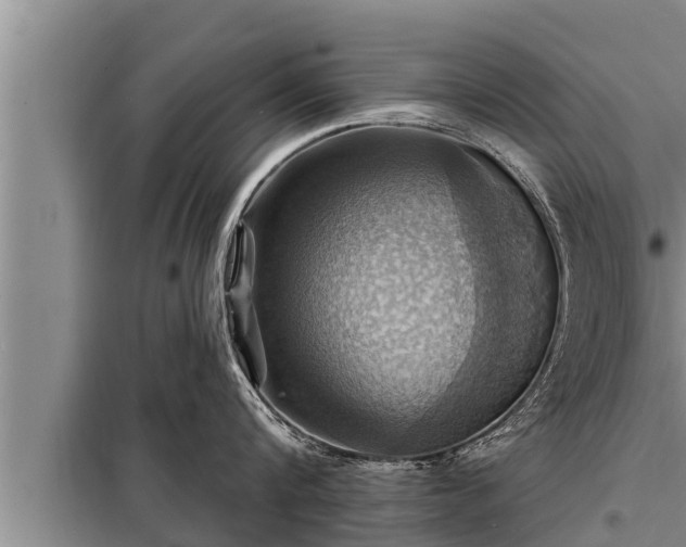 X0000098170816200805011012