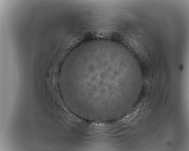 X0000098170817200805011012