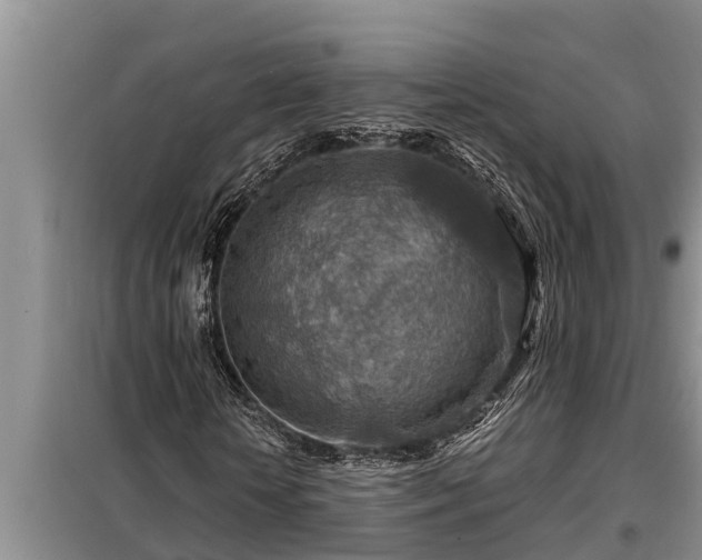 X0000098170818200805011012