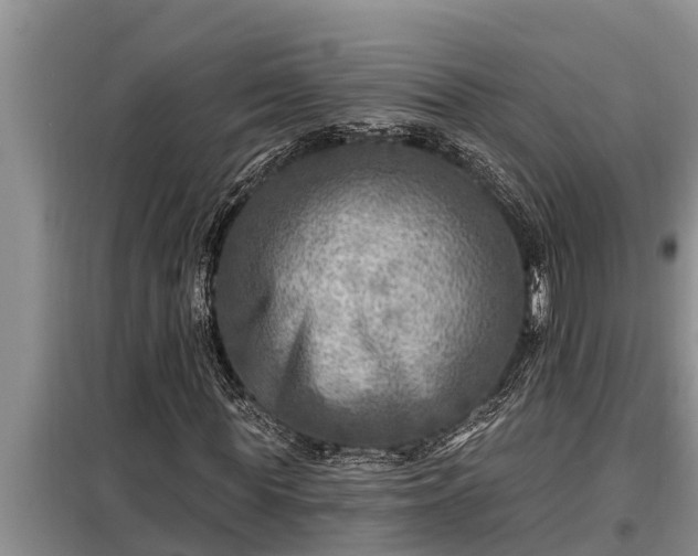 X0000098170819200805011012