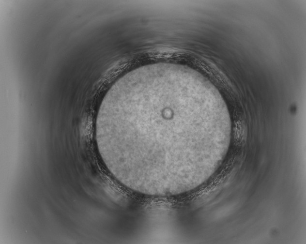 X0000098170820200805011012