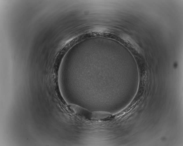 X0000098170822200805011012