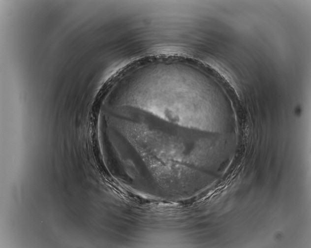 X0000098170823200805011012