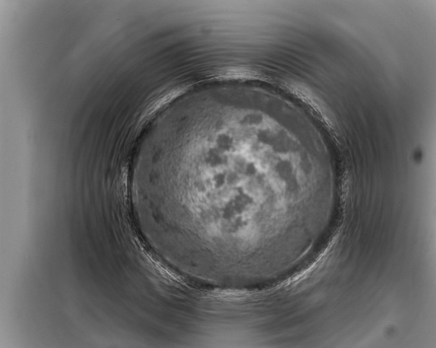 X0000098170825200805011012