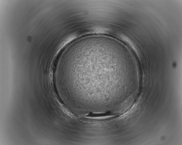 X0000098170827200805011012