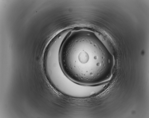 X0000098170828200805011012