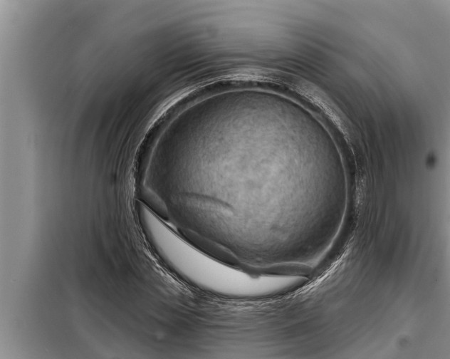 X0000098170829200805011012