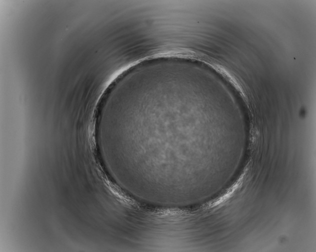 X0000098170830200805011012