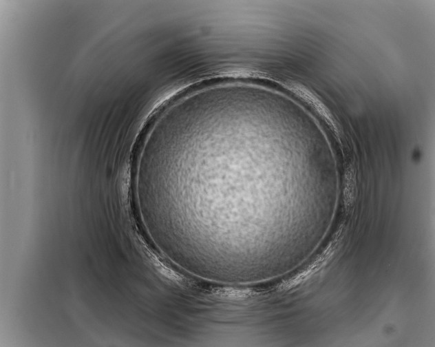 X0000098170831200805011012