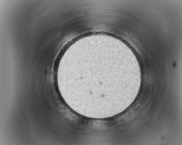 X0000098170832200805011012