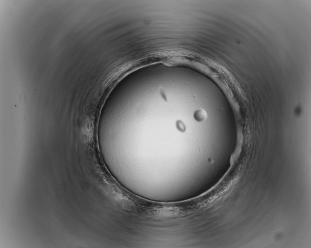 X0000098170833200805011012