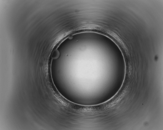 X0000098170834200805011012