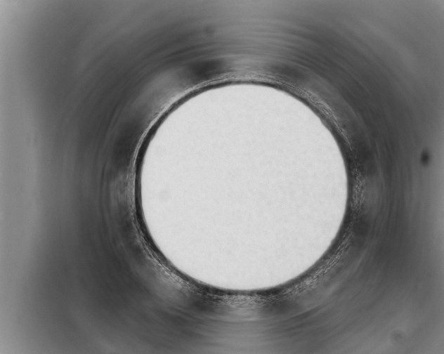 X0000098170836200805011012