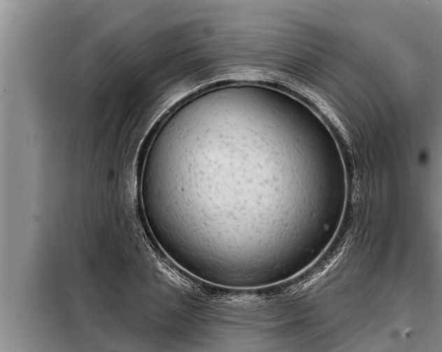 X0000098170837200805011012