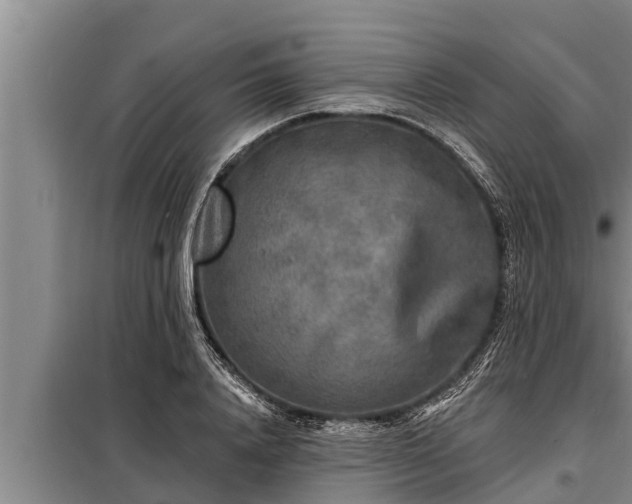 X0000098170840200805011012