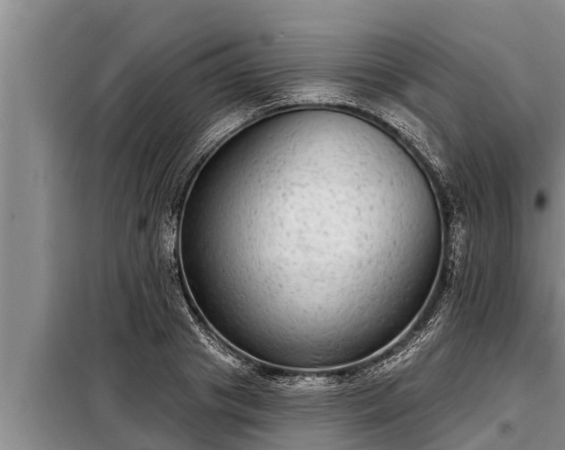 X0000098170841200805011012