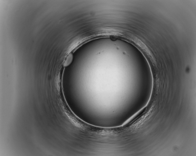 X0000098170842200805011012