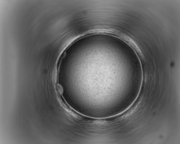 X0000098170844200805011012