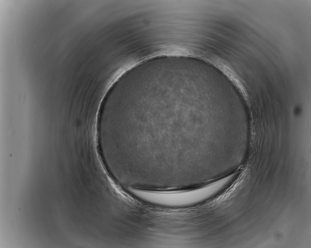 X0000098170845200805011012