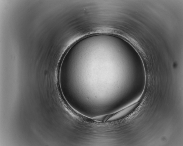 X0000098170846200805011012