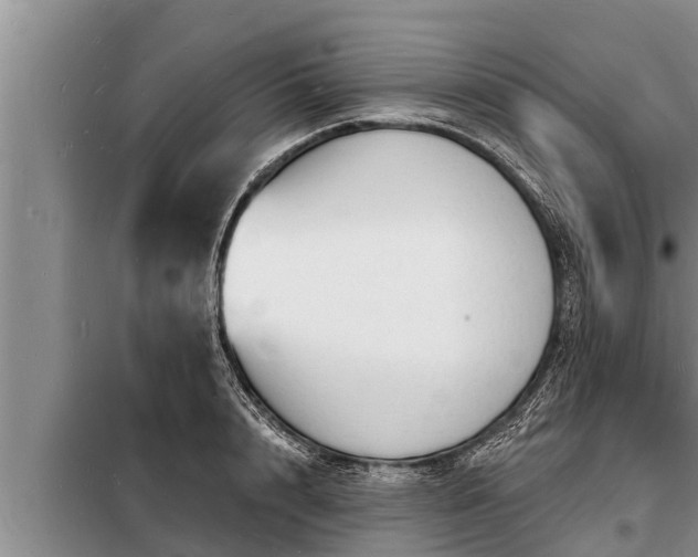 X0000098170848200805011012