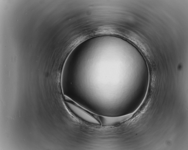 X0000098170849200805011012