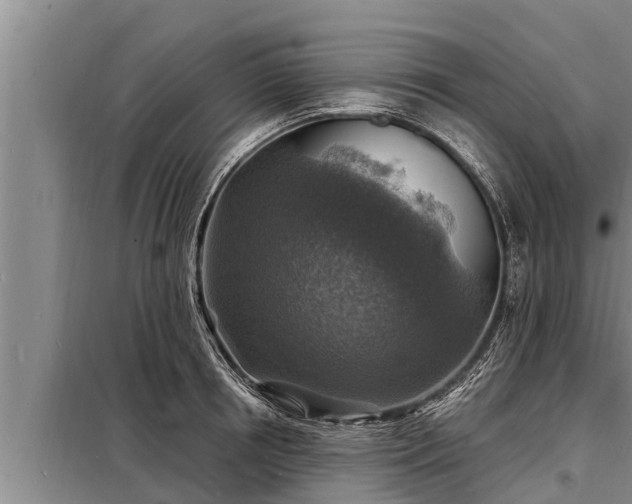 X0000098170850200805011012