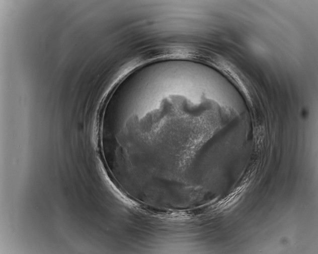 X0000098170851200805011012