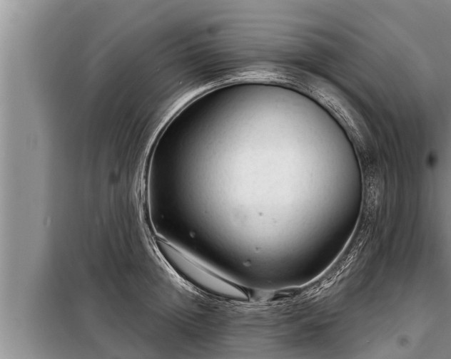 X0000098170852200805011012