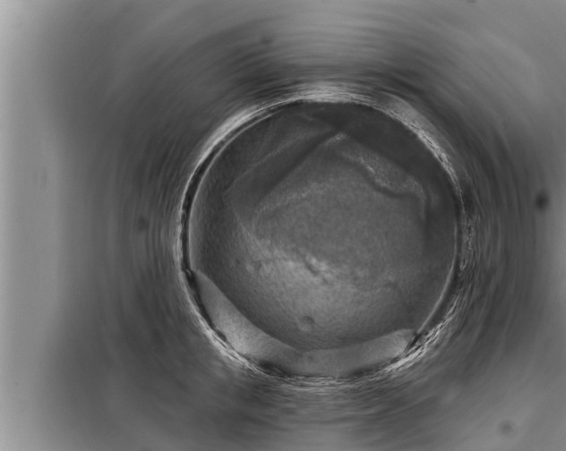 X0000098170853200805011012