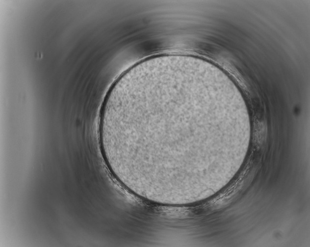 X0000098170856200805011012