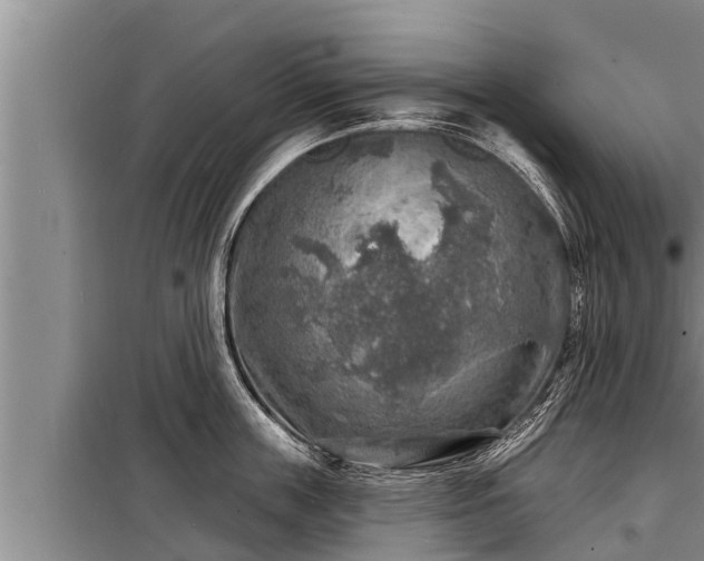 X0000098170859200805011012