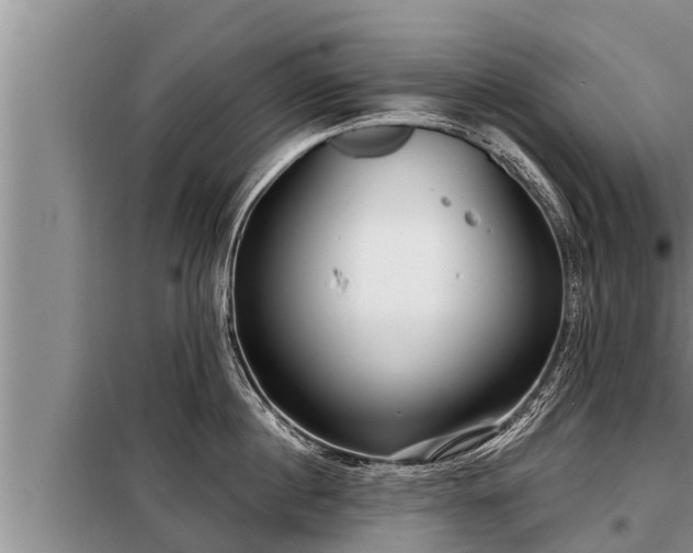 X0000098170860200805011012