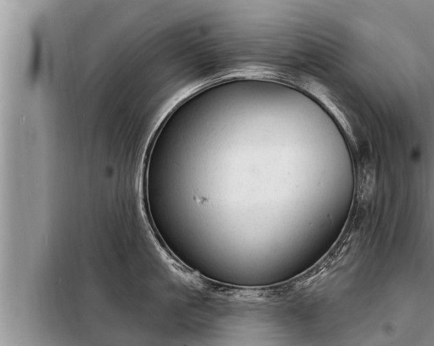 X0000098170861200805011012