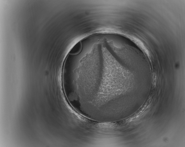 X0000098170863200805011012