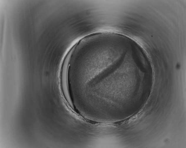 X0000098170864200805011012